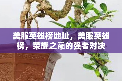 美服英雄榜地址，美服英雄榜，荣耀之巅的强者对决