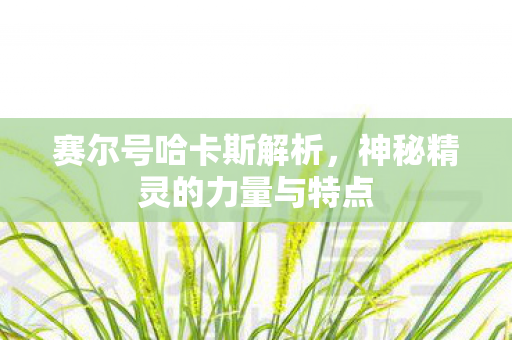 赛尔号哈卡斯解析，神秘精灵的力量与特点