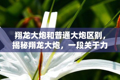 翔龙大炮和普通大炮区别，揭秘翔龙大炮，一段关于力量与荣耀的历史传奇