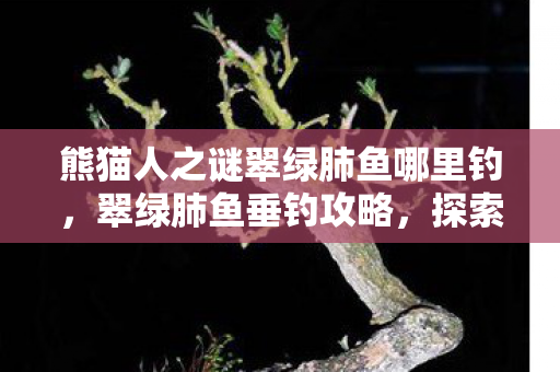 熊猫人之谜翠绿肺鱼哪里钓，翠绿肺鱼垂钓攻略，探索最佳钓鱼地点