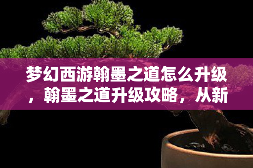 梦幻西游翰墨之道怎么升级，翰墨之道升级攻略，从新手到高手的必经之路