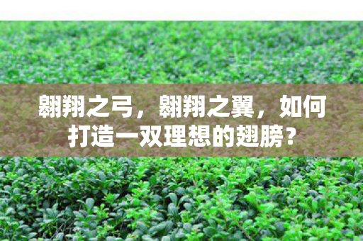 翱翔之弓，翱翔之翼，如何打造一双理想的翅膀？