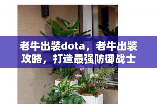 老牛出装dota，老牛出装攻略，打造最强防御战士