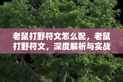 老鼠打野符文怎么配，老鼠打野符文，深度解析与实战应用策略