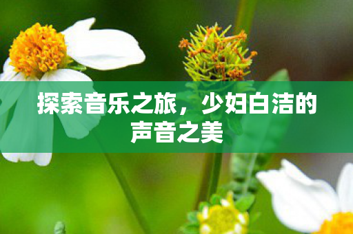 探索音乐之旅，少妇白洁的声音之美