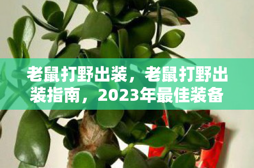 老鼠打野出装，老鼠打野出装指南，2023年最佳装备组合策略