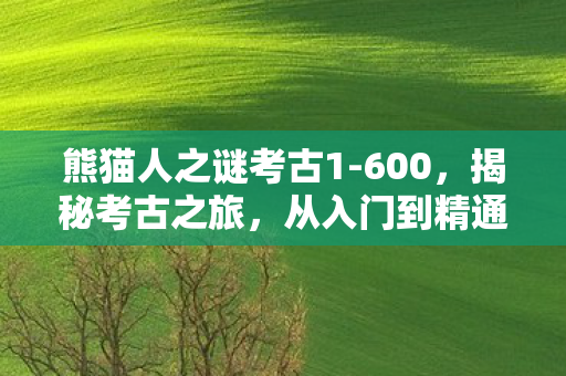 熊猫人之谜考古1-600，揭秘考古之旅，从入门到精通的六大阶段