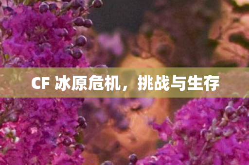 CF 冰原危机，挑战与生存