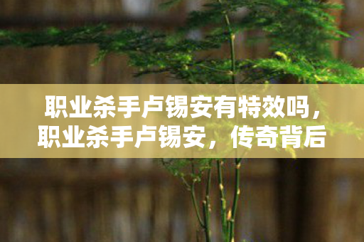 职业杀手卢锡安有特效吗，职业杀手卢锡安，传奇背后的真相与反思