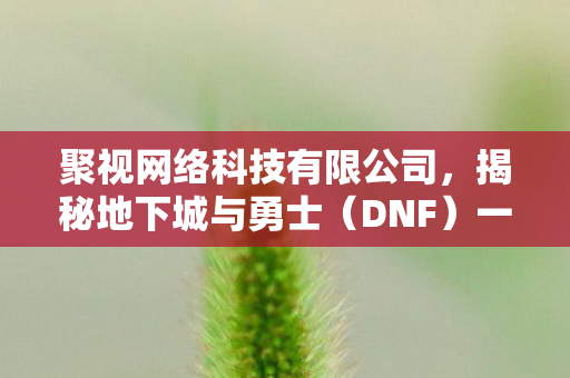聚视网络科技有限公司，揭秘地下城与勇士（DNF）一个游戏世界的深度探索之旅