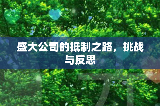 盛大公司的抵制之路，挑战与反思
