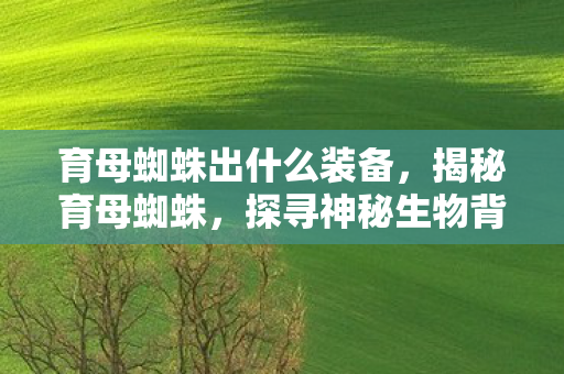 育母蜘蛛出什么装备，揭秘育母蜘蛛，探寻神秘生物背后的故事