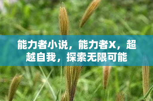 能力者小说,能力者X,超越自我,探索无限可能 能力者小说,能力者X,超越自我,探索无限可能