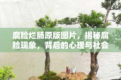 腐脸烂肠原版图片，揭秘腐脸现象，背后的心理与社会因素探讨