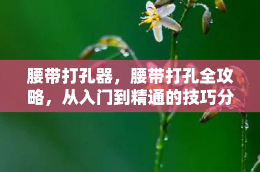 腰带打孔器，腰带打孔全攻略，从入门到精通的技巧分享