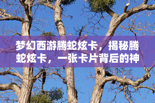 梦幻西游腾蛇炫卡，揭秘腾蛇炫卡，一张卡片背后的神秘故事