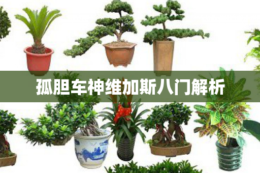 孤胆车神维加斯八门解析