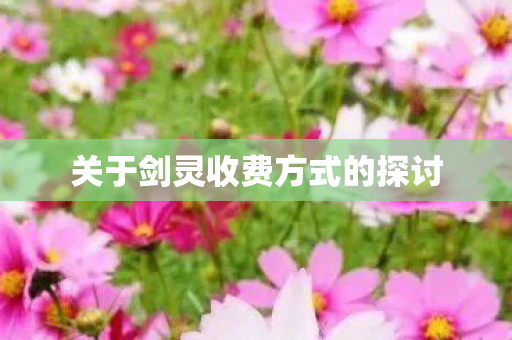 关于剑灵收费方式的探讨