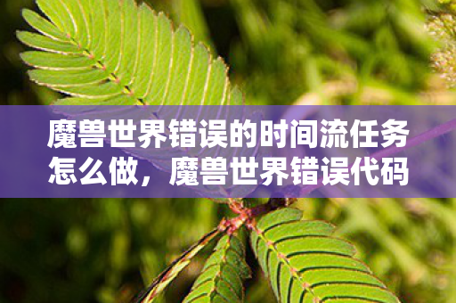 魔兽世界错误的时间流任务怎么做，魔兽世界错误代码解析，错误代码 114 的成因与解决方案