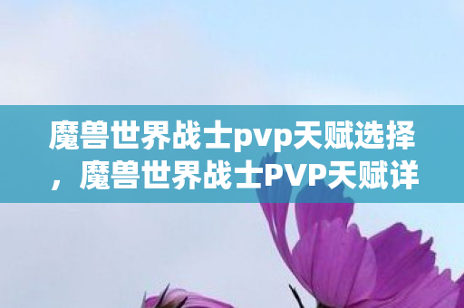 魔兽世界战士pvp天赋选择，魔兽世界战士PVP天赋详解，从入门到精通的战斗艺术