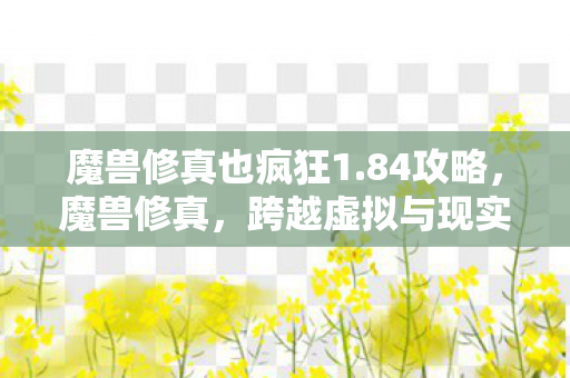 魔兽修真也疯狂1.84攻略，魔兽修真，跨越虚拟与现实的奇幻之旅