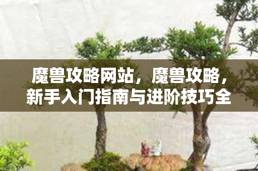 魔兽攻略网站，魔兽攻略，新手入门指南与进阶技巧全解析