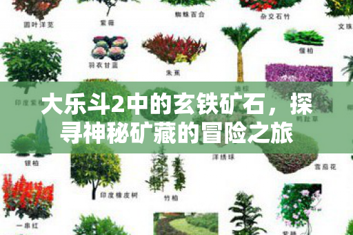 大乐斗2中的玄铁矿石，探寻神秘矿藏的冒险之旅