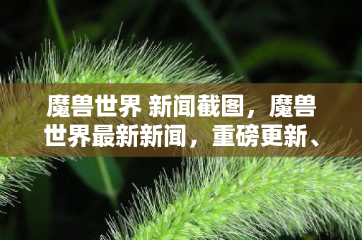 魔兽世界 新闻截图，魔兽世界最新新闻，重磅更新、玩家社区动态与未来展望