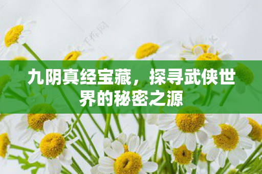 九阴真经宝藏，探寻武侠世界的秘密之源