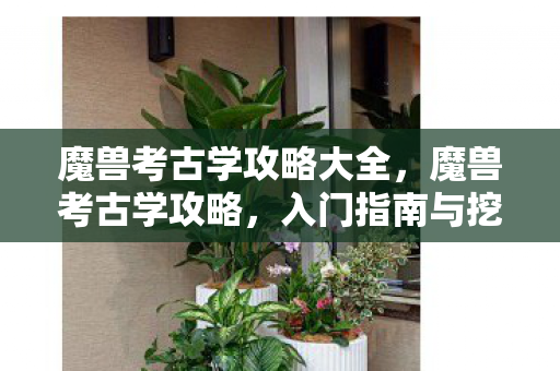 魔兽考古学攻略大全，魔兽考古学攻略，入门指南与挖掘技巧