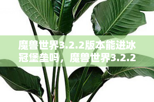 魔兽世界3.2.2版本能进冰冠堡垒吗,魔兽世界3.2.2,经典再现,怀旧玩家的天堂时光 魔兽世界3.2.2版本能进冰冠堡垒吗,魔兽世界3.2.2,经典再现,怀旧玩家的天堂时光