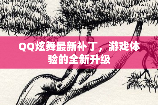 QQ炫舞最新补丁，游戏体验的全新升级