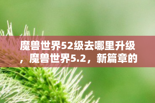 魔兽世界52级去哪里升级，魔兽世界5.2，新篇章的开启与探索之旅