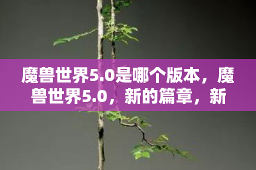 魔兽世界5.0是哪个版本,魔兽世界5.0,新的篇章,新的挑战 魔兽世界5.0是哪个版本,魔兽世界5.0,新的篇章,新的挑战