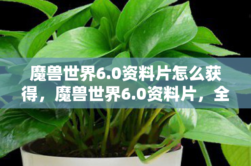 魔兽世界6.0资料片怎么获得,魔兽世界6.0资料片,全新的冒险与挑战 魔兽世界6.0资料片怎么获得,魔兽世界6.0资料片,全新的冒险与挑战