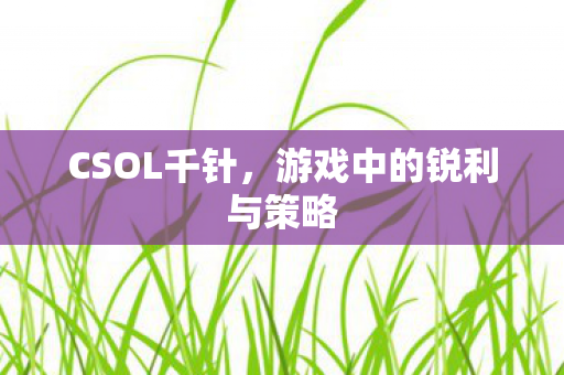 CSOL千针，游戏中的锐利与策略