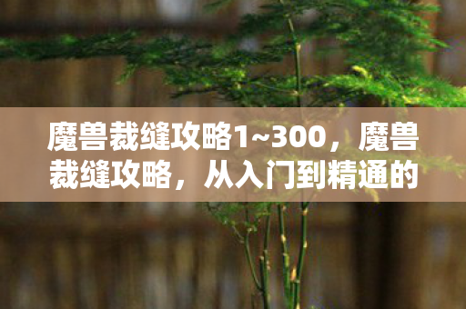 魔兽裁缝攻略1~300，魔兽裁缝攻略，从入门到精通的全方位指南
