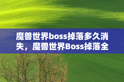 魔兽世界boss掉落多久消失,魔兽世界Boss掉落全解析,珍贵物品与史诗级装备的获取指南 魔兽世界boss掉落多久消失,魔兽世界Boss掉落全解析,珍贵物品与史诗级装备的获取指南