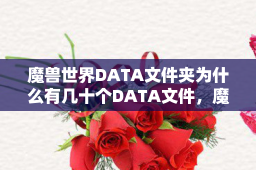 魔兽世界DATA文件夹为什么有几十个DATA文件，魔兽世界Data文件深度解析，从入门到精通