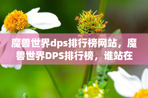 魔兽世界dps排行榜网站,魔兽世界DPS排行榜,谁站在巅峰? 魔兽世界dps排行榜网站,魔兽世界DPS排行榜,谁站在巅峰?