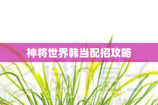 神将世界韩当配招攻略