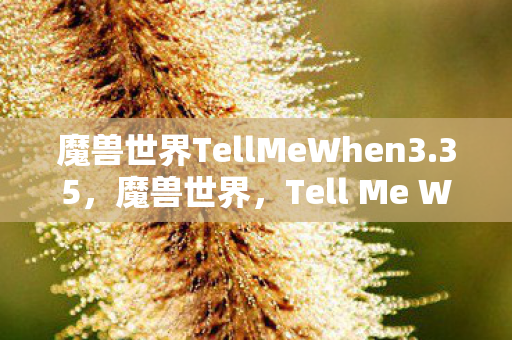 魔兽世界TellMeWhen3.35,魔兽世界,Tell Me When 的故事与魅力 魔兽世界TellMeWhen3.35,魔兽世界,Tell Me When 的故事与魅力