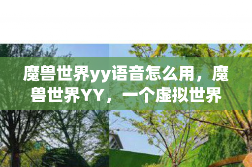 魔兽世界yy语音怎么用，魔兽世界YY，一个虚拟世界的真实魅力