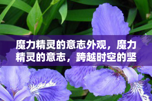 魔力精灵的意志外观,魔力精灵的意志,跨越时空的坚韧与勇气 魔力精灵的意志外观,魔力精灵的意志,跨越时空的坚韧与勇气