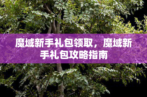 魔域新手礼包领取，魔域新手礼包攻略指南