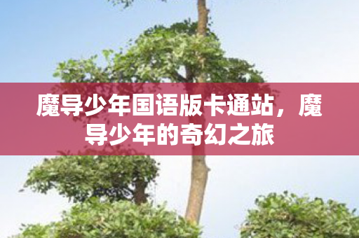 魔导少年国语版卡通站,魔导少年的奇幻之旅 魔导少年国语版卡通站,魔导少年的奇幻之旅