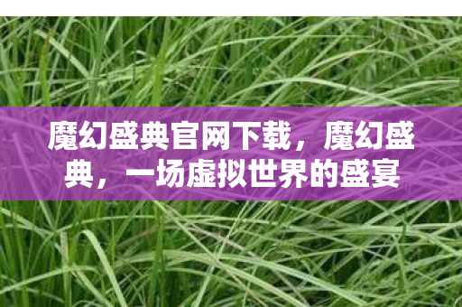 魔幻盛典官网下载，魔幻盛典，一场虚拟世界的盛宴