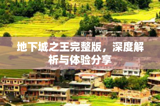 地下城之王完整版，深度解析与体验分享