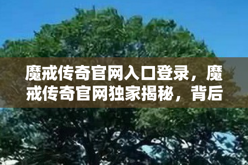 魔戒传奇官网入口登录，魔戒传奇官网独家揭秘，背后的故事与秘密