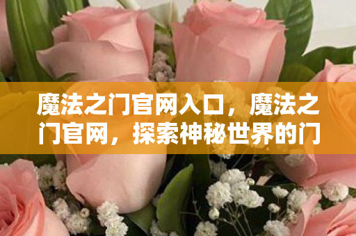 魔法之门官网入口，魔法之门官网，探索神秘世界的门户